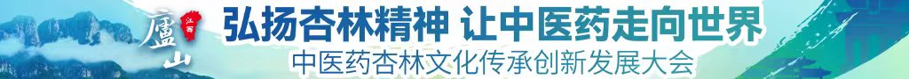 中国女人wwwww中医药杏林文化传承创新发展大会